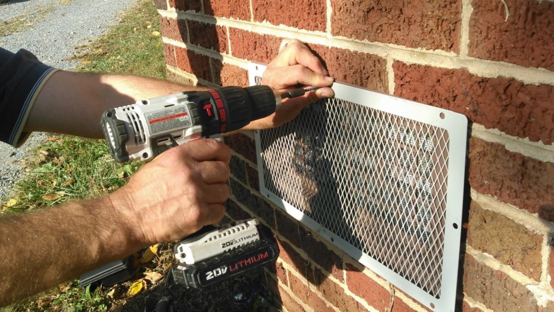 Rodent proof system coimbatore Eco Pest Control People